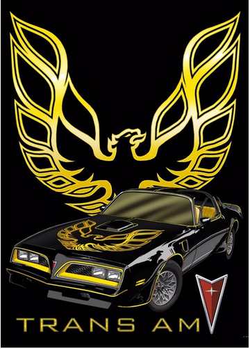 Pontiac Flag-3x5 Firebird Banner-100% polyester