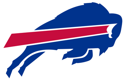 Buffalo Bills Flag-3x5 NFL Buffalo Bills Banner-100% polyester