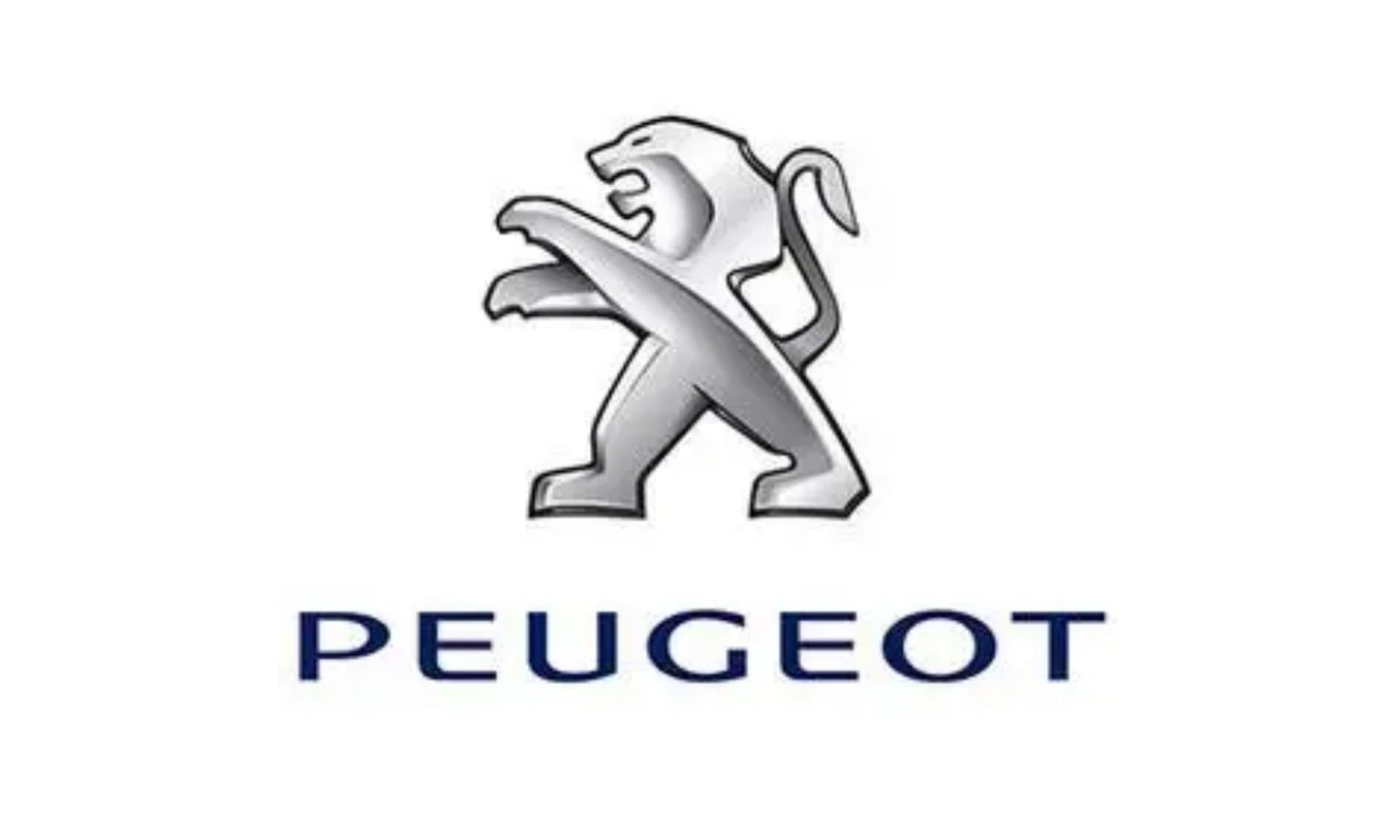 Peugeot flag-3x5 FT-100% polyester Banner-Black / White Peugeot