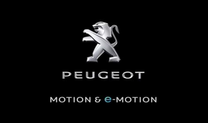 Peugeot flag-3x5 FT-100% polyester Banner-Black / White Peugeot