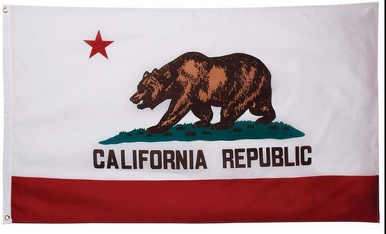 New California Republic Flag-3x5 Banner-100% polyester