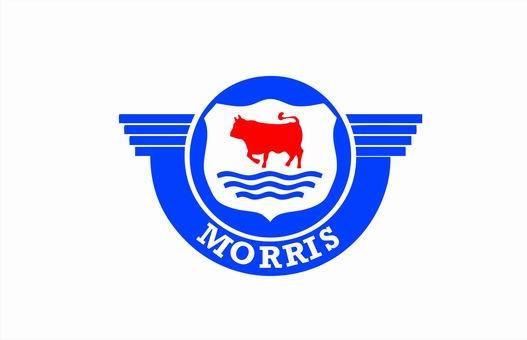 MORRIS Flag-3x5 Banner-100% polyester-White