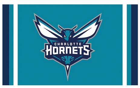 Charlotte Hornets Flag-3x5FT NBA Hornets Banner-100% polyester