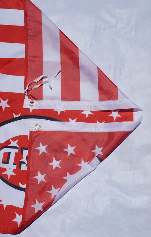 Cincinnati Reds Flag-3x5Ft MLB Reds Banner-100% polyester