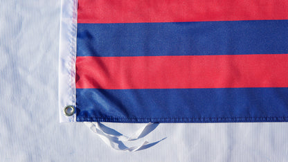 Minnesota Twins Flag-3x5ft MLB Twins Banner-100% polyester