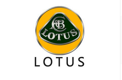 Lotus Flag-3x5 Checkered Lotus Banner-100% polyester-Green