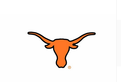 NCAA Texas Longhorns Flag 3X5Ft  Texas University Longhorns banner 90*150CM polyster