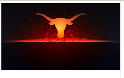 NCAA Texas Longhorns Flag 3X5Ft  Texas University Longhorns banner 90*150CM polyster