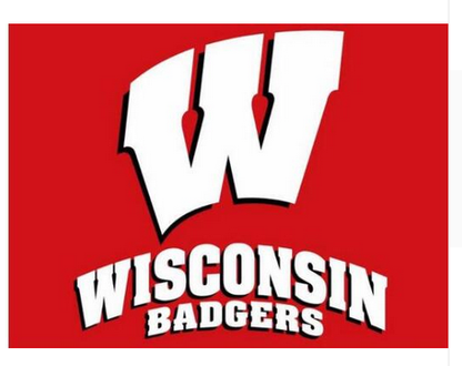 NCAA Wisconsin Badgers flag 3x5ft  University of Wisconsin banner 100% polyester