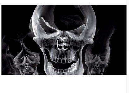 Skull Flag-3x5 Banner-100% polyester