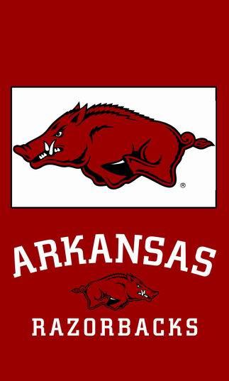 NCAA Arkansas Razorbacks flag 100% polyester  Arkansas University banner 90*150CM