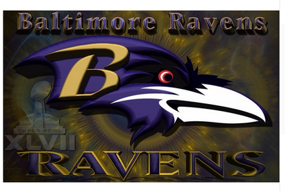 Baltimore Ravens Flag-3x5 NFL Banner-100% polyester-gloves-champions