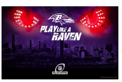 Baltimore Ravens Flag-3x5 NFL Banner-100% polyester-gloves-champions