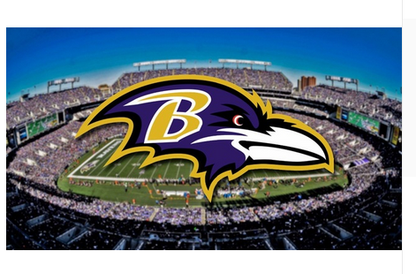 Baltimore Ravens Flag-3x5 NFL Banner-100% polyester-gloves-champions