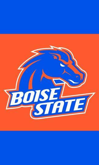 NCAA Boise State Broncos Flag 3x5 FT 100D Polyester  Boise State University Banner 150X90CM