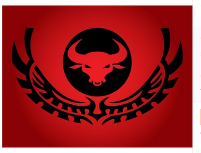 Chicago Bulls Flag-3x5 NBA Bulls Banner-100% polyester