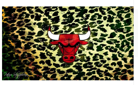 Chicago Bulls Flag-3x5 NBA Bulls Banner-100% polyester