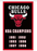 Chicago Bulls Flag-3x5 NBA Bulls Banner-100% polyester