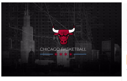 Chicago Bulls Flag-3x5 NBA Bulls Banner-100% polyester