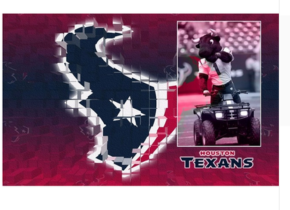 Houston Texans Flag-3x5 new NFL Houston Texans Banner-100% polyester-man cave-stripes-gloves-garden flags
