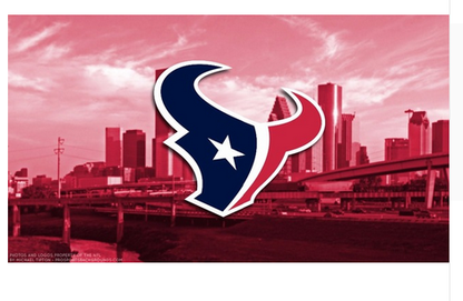Houston Texans Flag-3x5 new NFL Houston Texans Banner-100% polyester-man cave-stripes-gloves-garden flags