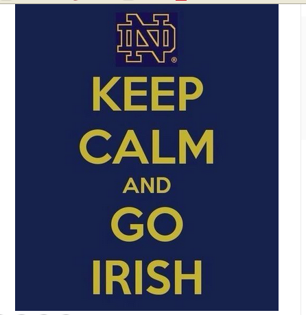 NCAA Notre Dame Fighting Irish flag 100% Polyester 90x150cm University of Notre Dame Banner