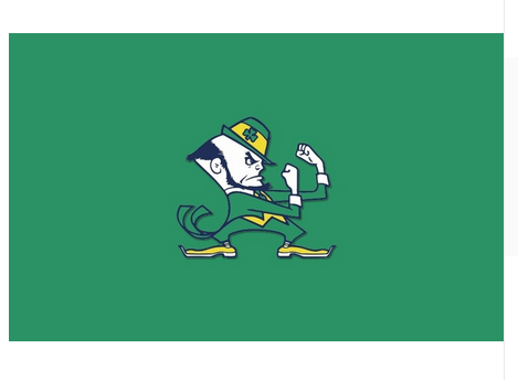 NCAA Notre Dame Fighting Irish flag 100% Polyester 90x150cm University of Notre Dame Banner