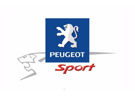 Peugeot flag-3x5 FT-100% polyester Banner-Black / White