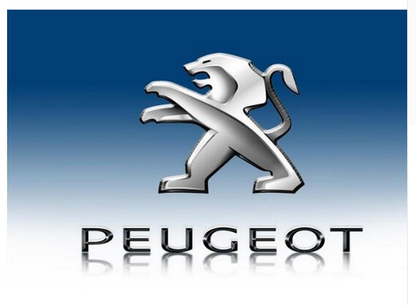 Peugeot flag-3x5 FT-100% polyester Banner-Black / White