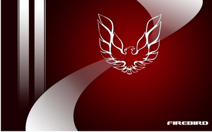 Pontiac Flag-3x5 Firebird Banner-100% polyester
