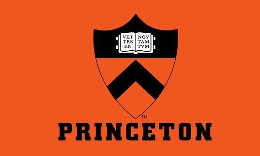 NCAA Princeton Tigers Flag University of Princeton Banner 3X5FT 100% polyester