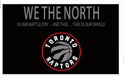Toronto Raptors Flag-3x5 NBA Raptors Banner-100% polyester