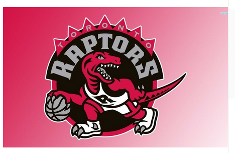 Toronto Raptors Flag-3x5 NBA Raptors Banner-100% polyester