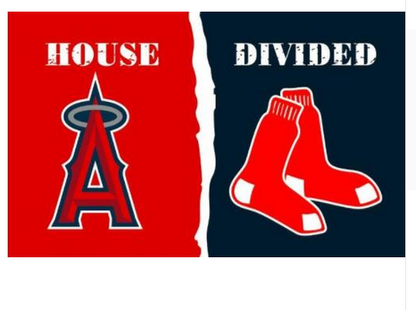 Boston  Red Sox Flag-3x5FT MLB Red Sox Banner-100% polyester