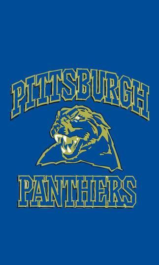 NCAA Pittsburgh Panthers Flag 3x5Ft  University of  Pittsburgh banner 100% polyester PITT flags