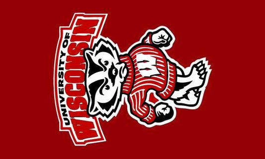 NCAA Wisconsin Badgers flag 3x5ft  University of Wisconsin banner 100% polyester